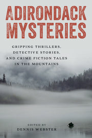 Adirondack Mysteries: Gripping Thrillers, Detective Stories, and Crime Fiction Tales in the Mountains by Webster, Dennis