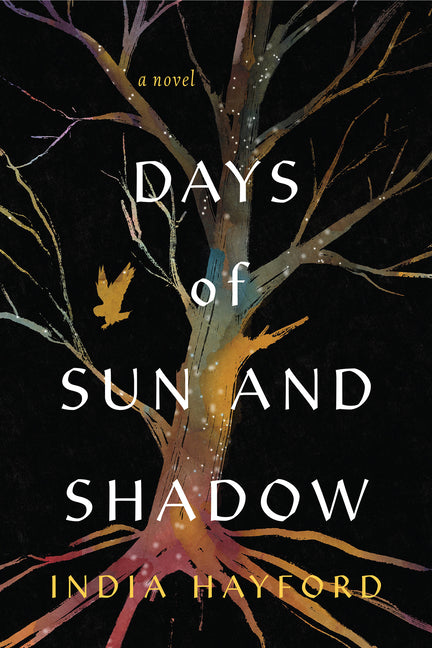 Days of Sun and Shadow -- India Hayford, Paperback