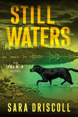 Still Waters: A Riveting Novel of Suspense -- Sara Driscoll, Paperback