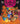 Ofrenda Para Perro (Un Libro Ilustrado del Día de Muertos Para Niños) (an Ofrenda for Perro) (Spanish Edition) by Valdés B., Judith