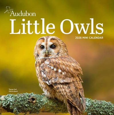 Audubon Little Owls Mini Wall Calendar 2026 -- Workman Calendars, Mini