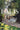 Paris: Secret Gardens, Hidden Places, and Stories of the City of Light by McAuliffe, Mary