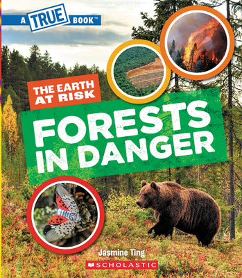 Forests in Danger (a True Book: The Earth at Risk) by Ting, Jasmine