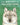 The Wolves of Yellowstone: A Rewilding Story by Barr, Catherine