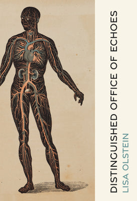 Distinguished Office of Echoes by Olstein, Lisa