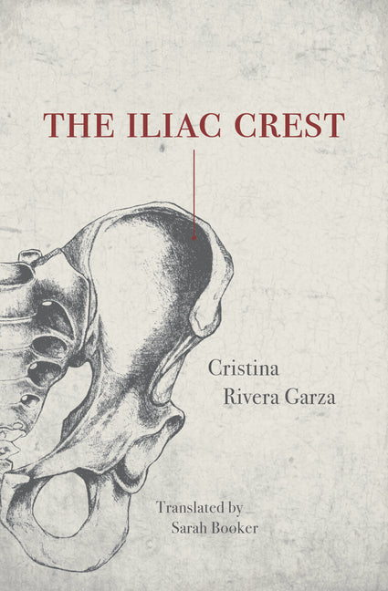 The Iliac Crest -- Cristina Rivera Garza, Paperback
