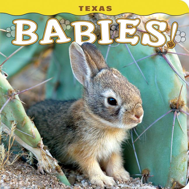 Texas Babies! -- Steph Lehmann, Hardcover