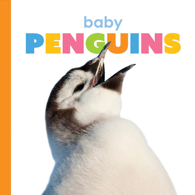 Baby Penguins -- Kate Riggs, Board Book