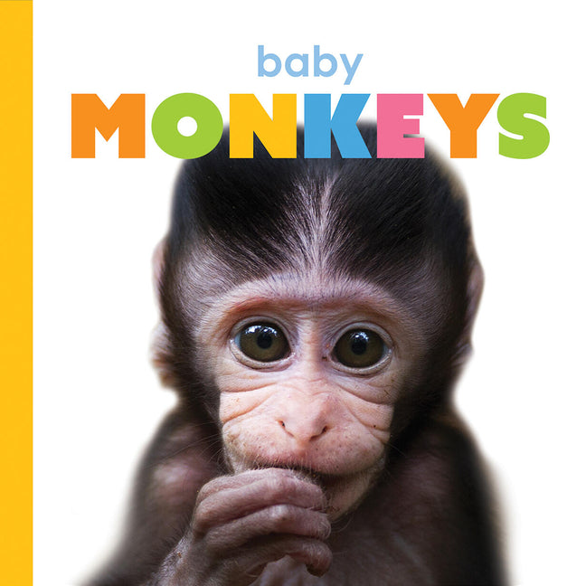 Baby Monkeys -- Kate Riggs, Board Book
