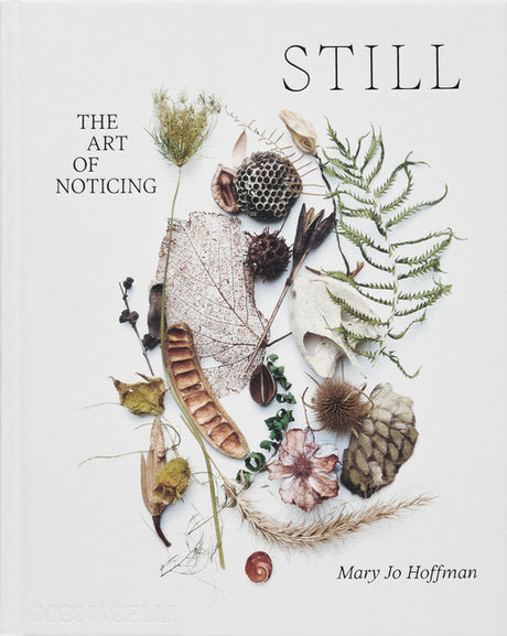 Still: The Art of Noticing -- Mary Jo Hoffman, Hardcover