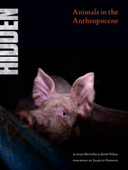 Hidden: Animals in the Anthropocene by McArthur, Jo-Anne
