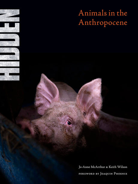Hidden: Animals in the Anthropocene -- Jo-Anne McArthur, Hardcover