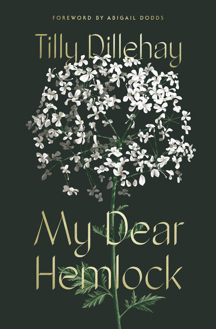 My Dear Hemlock -- Tilly Dillehay, Hardcover