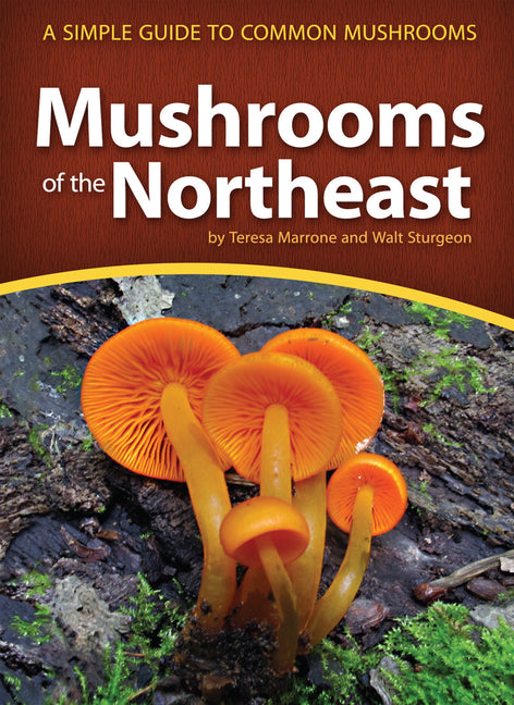 Mushrooms of the Northeast: A Simple Guide to Common Mushrooms -- Teresa Marrone, Paperback