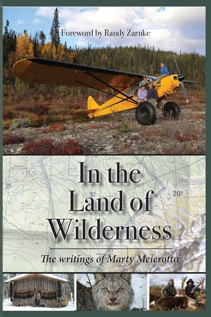 In the Land of Wilderness -- Marty Meierotto, Paperback