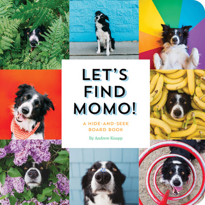 Let's Find Momo!: A Hide-And-Seek Board Book -- Andrew Knapp, Board Book