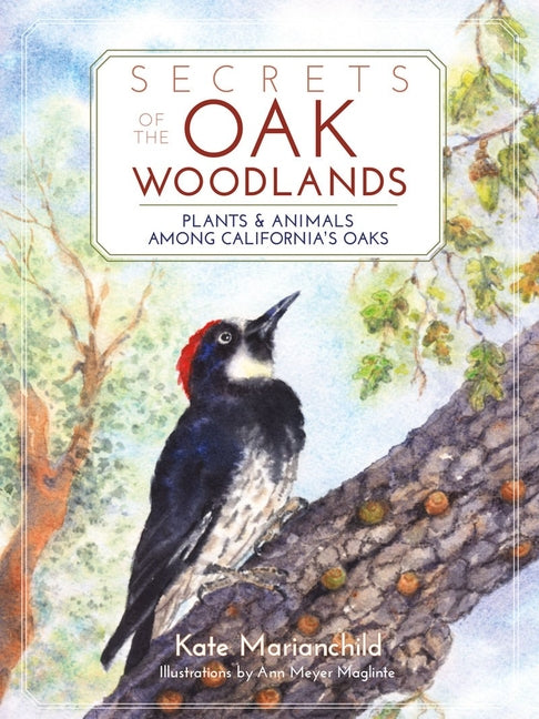Secrets of the Oak Woodlands: Plants and Animals Among California's Oaks -- Kate Marianchild, Paperback