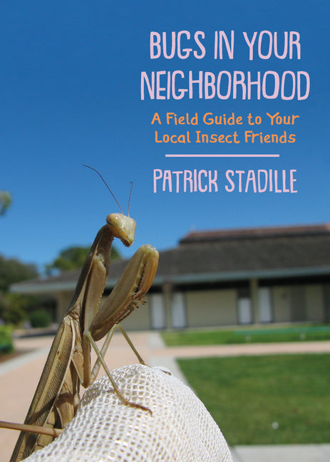 Bugs in Your Neighborhood: A Field Guide to Your Local Insect Friends -- Patrick Stadille, Paperback