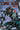 The Overstreet Comic Book Price Guide #52 by Overstreet, Robert M.