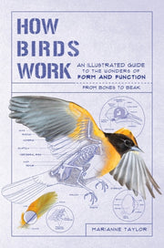 How Birds Work: An Illustrated Guide to the Wonders of Form and Function--From Bones to Beak by Taylor, Marianne