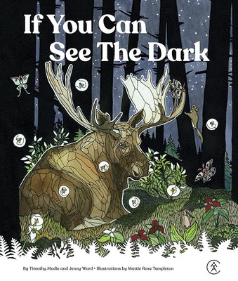 If You Can See the Dark by Mudie, Timothy