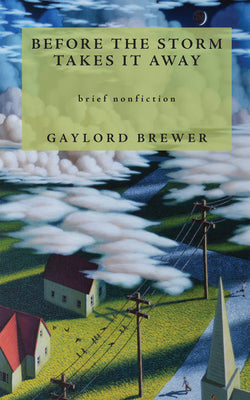 Before the Storm Takes It Away -- Gaylord Brewer, Paperback