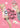 My Cute Little Kitten Vol. 1 by Morinaga, Milk