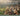 The Light That Shines Forever: The True Story and Remarkable Rescue of 669 Children on the Eve of World War II by Warner, David