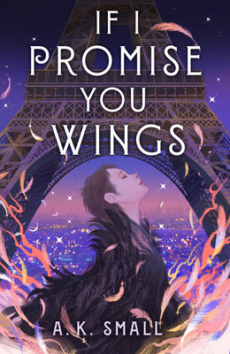 If I Promise You Wings -- A. K. Small, Hardcover