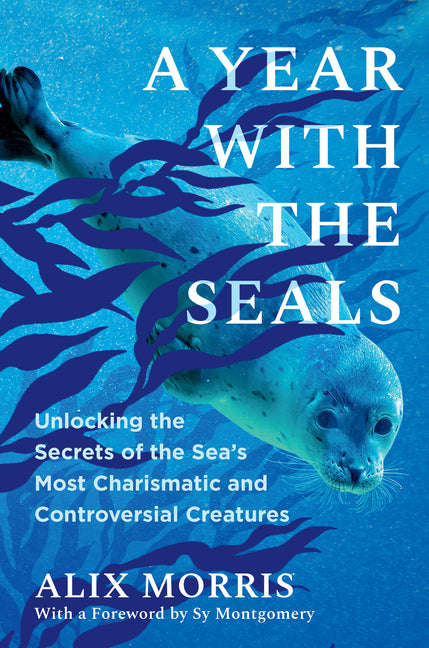 A Year with the Seals: Unlocking the Secrets of the Sea's Most Charismatic and Controversial Creatures -- Alix Morris, Hardcover