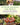Flower Farming for Profit: The Complete Guide to Growing a Successful Cut Flower Business by Larkin, Lennie