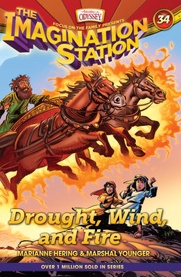 Drought, Wind, and Fire by Hering, Marianne