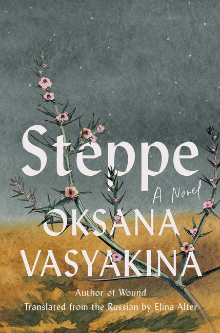 Steppe -- Oksana Vasyakina, Hardcover