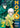 No. 6 Manga Omnibus 2 (Vol. 4-6) by Asano, Atsuko