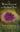 The World Beyond the Redbud Tree by Brightwell, Madison C.