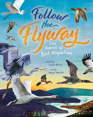 Follow the Flyway: The Marvel of Bird Migration by Nelson, Sarah