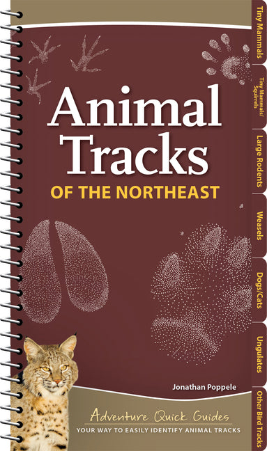 Animal Tracks of the Northeast: Your Way to Easily Identify Animal Tracks -- Jonathan Poppele, Spiral