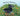Horton Hornbill by Irons, A. N.