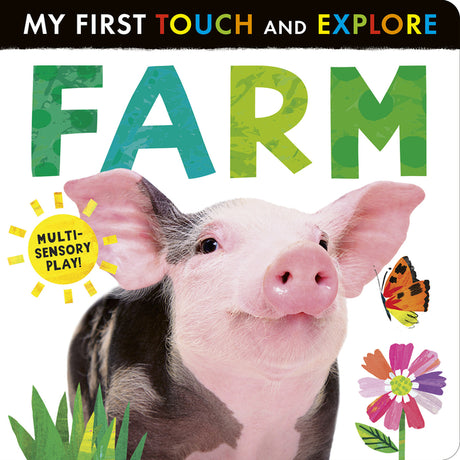 Farm: My First Touch and Explore: Multi-Sensory Play! -- Tiger Tales, Board Book