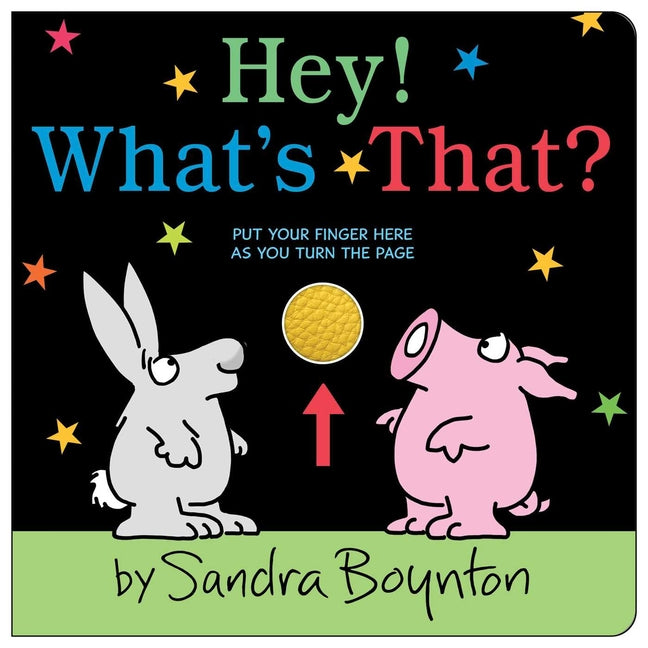 Hey! What's That? -- Sandra Boynton, Board Book