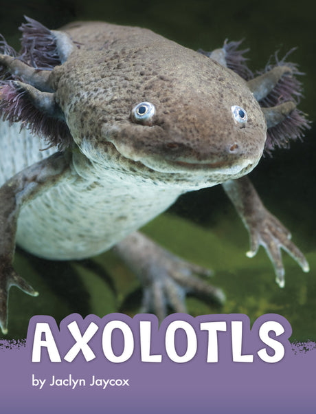 Axolotls -- Jaclyn Jaycox, Paperback