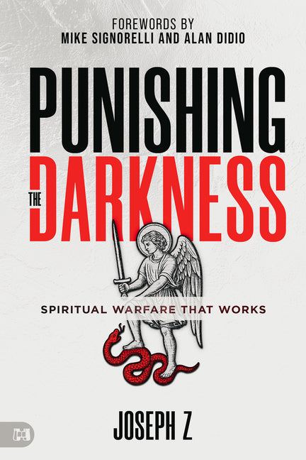Punishing the Darkness: Spiritual Warfare That Works -- Joseph Z, Paperback