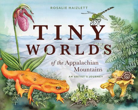 Tiny Worlds of the Appalachian Mountains: An Artist's Journey -- Rosalie Haizlett, Hardcover