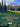 Hiking the Wonderland Trail: The Complete Guide to Mount Rainier's Premier Trail by Asars, Tami