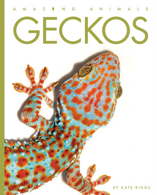 Geckos by Riggs, Kate