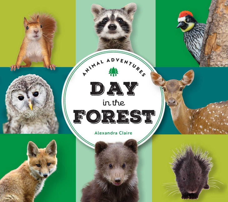 Animal Adventures: Day in the Forest -- Alexandra Claire, Board Book