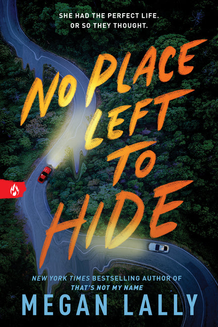 No Place Left to Hide by Lally, Megan
