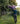 The Cut Flower Sourcebook: Exceptional Perennials and Woody Plants for Cutting by Siegfried, Rachel