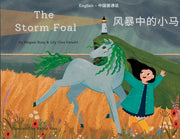 The Storm Foal: 风暴中的小马 by Bray, Megsie