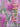 Petal: The World of Flowers Through an Artist's Eye by Picker, Adriana